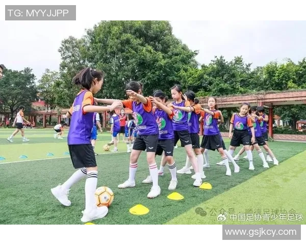 佛山市足球协会积极推动青少年足球发展助力地方体育事业腾飞