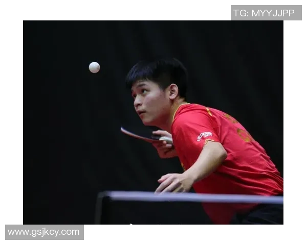 杨伟专访：深入探讨乒乓球成功背后的秘诀与心路历程