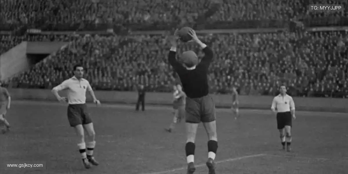 📱多屏同步，随时随地捕捉精彩瞬间！📻